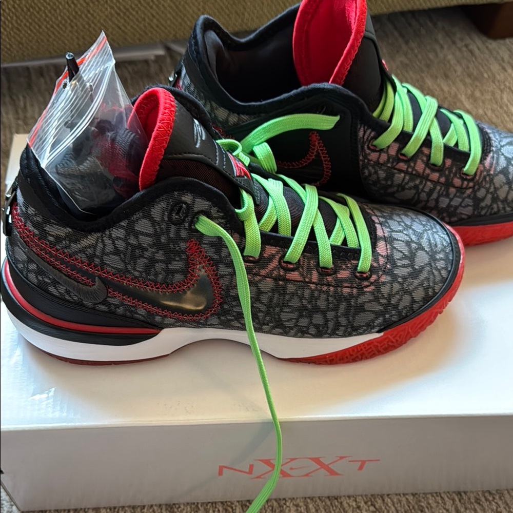 Nike Zoom Lebron James NXXT